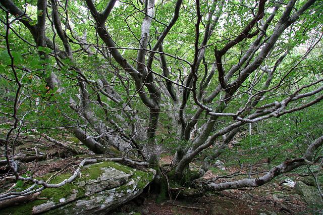 191 wandeling 1000 treden.JPG